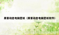 黑客动态电脑壁纸（黑客动态电脑壁纸软件）