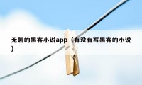 无聊的黑客小说app（有没有写黑客的小说）