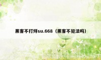 黑客不打烊su.668（黑客不犯法吗）