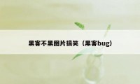 黑客不黑图片搞笑（黑客bug）