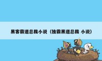 黑客霸道总裁小说（独霸黑道总裁 小说）