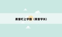 黑客盯上学霸（黑客学长）