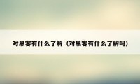 对黑客有什么了解（对黑客有什么了解吗）