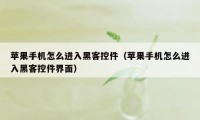 苹果手机怎么进入黑客控件（苹果手机怎么进入黑客控件界面）