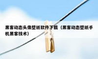 黑客动态头像壁纸软件下载（黑客动态壁纸手机黑客技术）