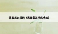 黑客怎么提纯（黑客是怎样炼成的）