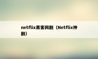 netflix黑客网剧（Netflix神剧）