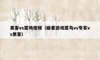 黑客vs菜鸡视频（瞎看游戏菜鸟vs专家vs黑客）