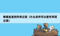 哪里能查到开房记录（什么软件可以查开宾馆记录）