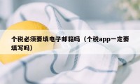 个税必须要填电子邮箱吗（个税app一定要填写吗）