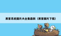 黑客系统图片大全集最新（黑客图片下载）