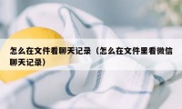 怎么在文件看聊天记录（怎么在文件里看微信聊天记录）