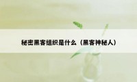 秘密黑客组织是什么（黑客神秘人）