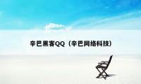 辛巴黑客QQ（辛巴网络科技）