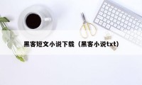 黑客短文小说下载（黑客小说txt）