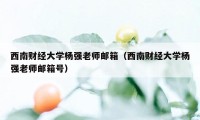 西南财经大学杨强老师邮箱（西南财经大学杨强老师邮箱号）