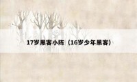 17岁黑客小陈（16岁少年黑客）