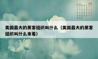 美国最大的黑客组织叫什么（美国最大的黑客组织叫什么来着）