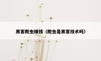 黑客爬虫赚钱（爬虫是黑客技术吗）