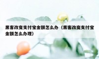 黑客改变支付宝金额怎么办（黑客改变支付宝金额怎么办理）