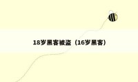 18岁黑客被盗（16岁黑客）