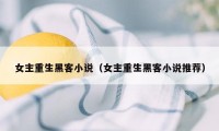 女主重生黑客小说（女主重生黑客小说推荐）