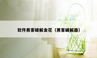 软件黑客破解金花（黑客破解器）