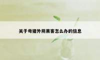 关于母猪外阴黑客怎么办的信息