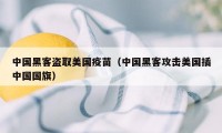 中国黑客盗取美国疫苗（中国黑客攻击美国插中国国旗）