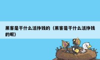 黑客是干什么活挣钱的（黑客是干什么活挣钱的呢）