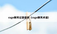 csgo聊天记录搞笑（csgo聊天术语）