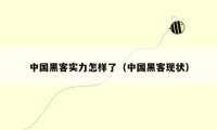 中国黑客实力怎样了（中国黑客现状）