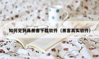 如何见到真黑客下载软件（黑客真实软件）