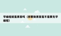 学编程就是黑客吗（想要做黑客是不是要先学编程）