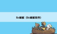 lic破解（lic破解软件）