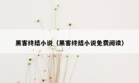 黑客终结小说（黑客终结小说免费阅读）