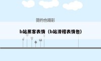 b站黑客表情（b站滑稽表情包）