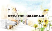 黑客的小说描写（讲述黑客的小说）