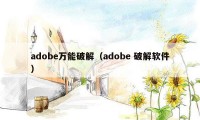 adobe万能破解（adobe 破解软件）