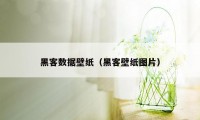 黑客数据壁纸（黑客壁纸图片）