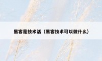 黑客是技术活（黑客技术可以做什么）