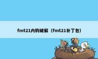 fmt21内购破解（fmt21补丁包）