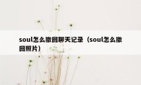 soul怎么撤回聊天记录（soul怎么撤回照片）