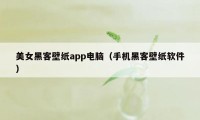 美女黑客壁纸app电脑（手机黑客壁纸软件）