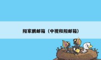 阳家鹏邮箱（中视和阳邮箱）