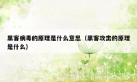 黑客病毒的原理是什么意思（黑客攻击的原理是什么）