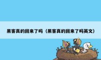 黑客真的回来了吗（黑客真的回来了吗英文）