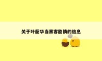 关于叶韶华当黑客剧情的信息