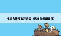 守望先锋黑客背景图（黑客背景图竖屏）