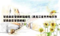 甘南县巨宝镇邮箱编码（黑龙江省齐齐哈尔市甘南县巨宝镇邮编）